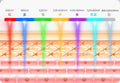 7-Color LED Face & Neck Mask - Z A F L U X X - E M P I R E